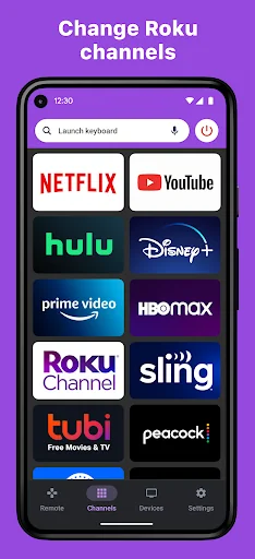 RoByte: Roku TV Remote Control screenshot 2