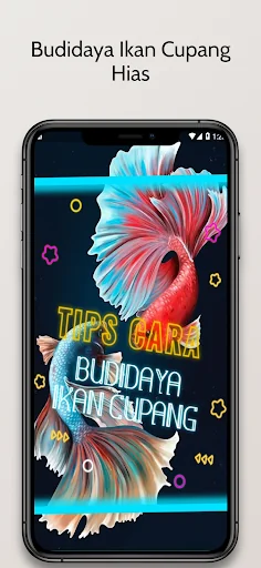 Budidaya Ikan Cupang Hias