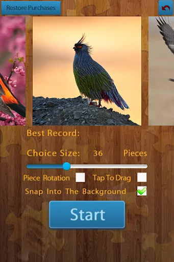 Birds Jigsaw Puzzles Game screenshot 2