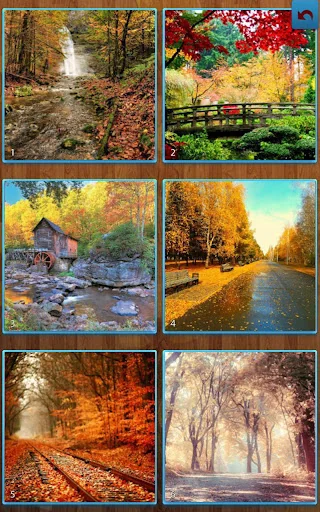 Autumn Jigsaw Puzzles screenshot 1