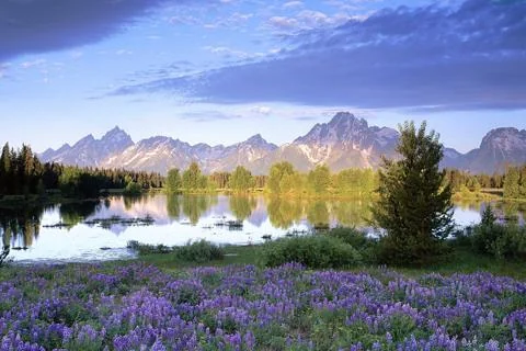 Landscape Jigsaw puzzles 4In 1 screenshot 1