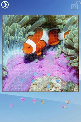 Sea Life Jigsaw Puzzles screenshot 3