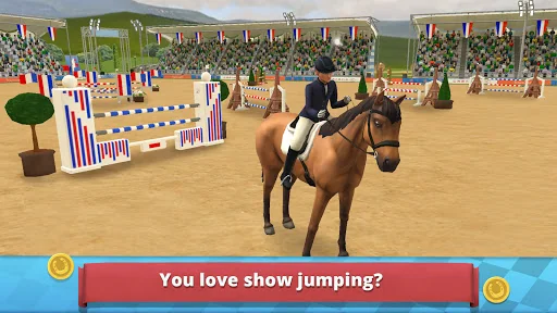 Horse Show Jumping Premium