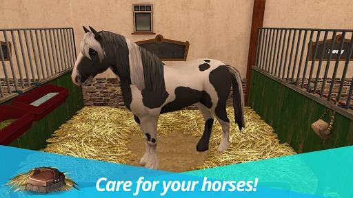 Horse World: My Riding Horses