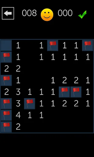 Minesweeper Fun