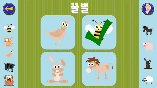 Gus Learns Korean for Kids