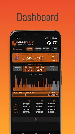 Mining Monitor 4 2miners Pool screenshot 3