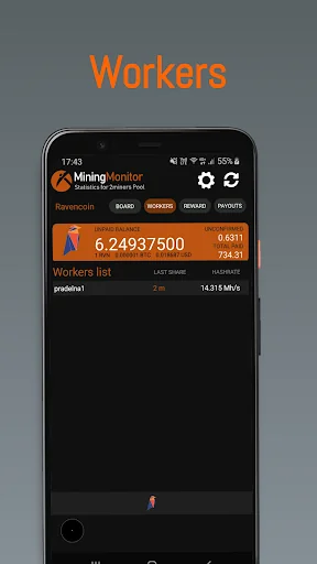 Mining Monitor 4 2miners Pool screenshot 4