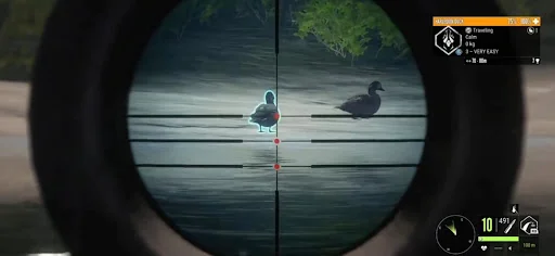 Hunting Games Bird Hunter 2026