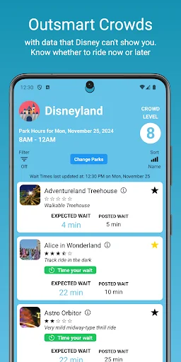 Disneyland Lines