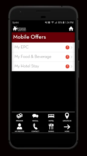 CDA Casino screenshot 2
