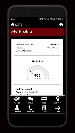 CDA Casino screenshot 4