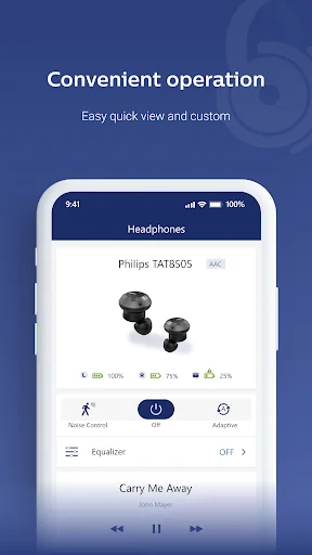 Philips Headphones