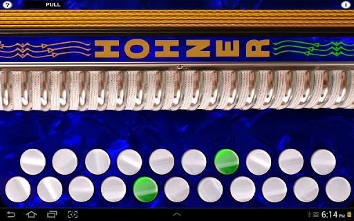 Hohner D/G Button Accordion