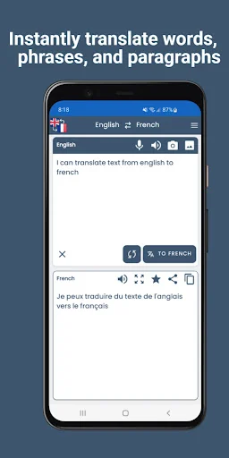 English French Translator