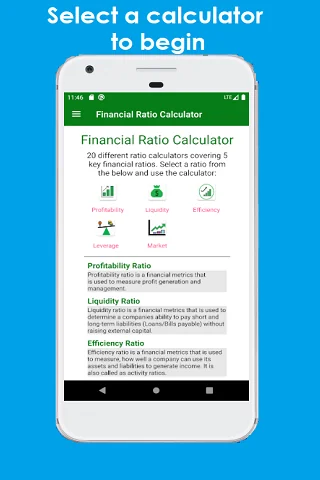 Financial Ratio Calculator screenshot 1