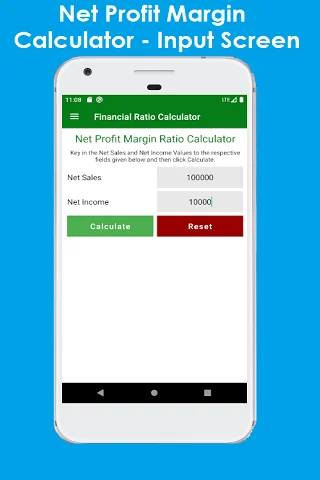 Financial Ratio Calculator screenshot 2