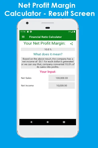 Financial Ratio Calculator screenshot 3