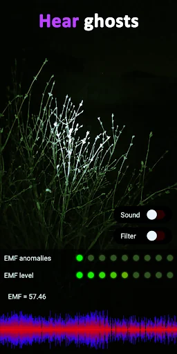 EMF Ghost Detector and Camera screenshot 2