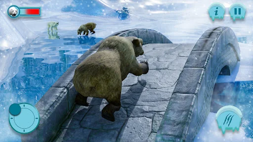 Polar Bear Family Survival