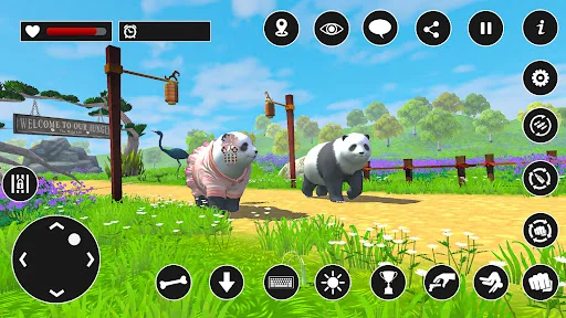 Panda Game: Animal Games