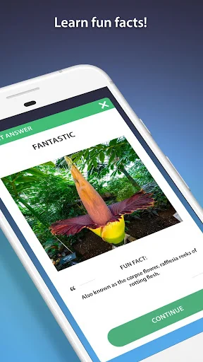 True or False Quiz Games screenshot 4