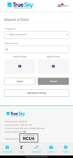 True Sky Credit Union screenshot 3