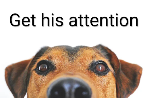 Dog Trainer: Clicker & Whistle screenshot 2