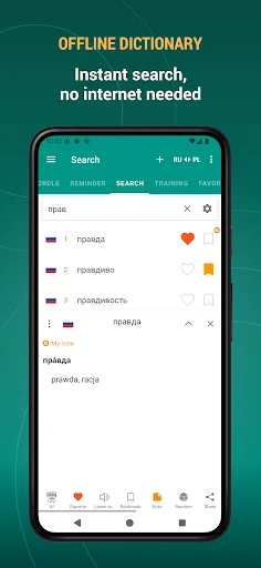 Russian Polish Dictionary