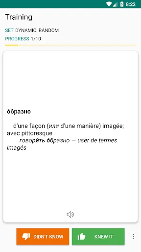 Russian-french dictionary screenshot 2