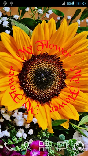 Rotate My Name Live Wallpaper screenshot 2