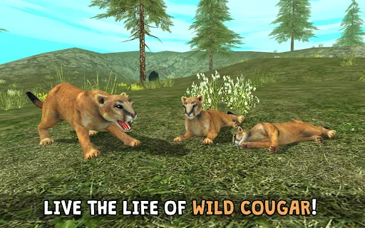 Wild Cougar Sim 3D screenshot 1