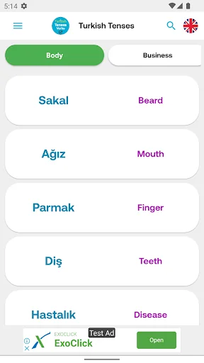 Turkish Tenses 12 screenshot 2