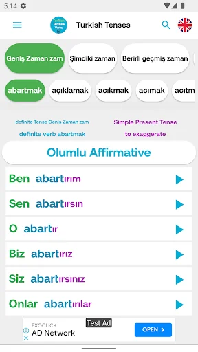 Turkish Tenses 12 screenshot 3