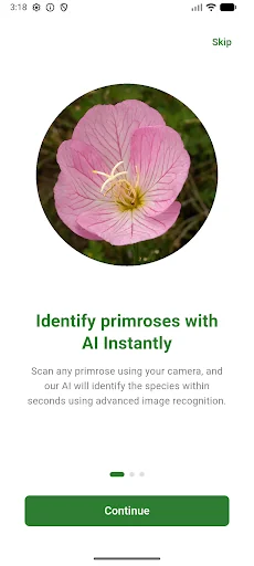 AI Primrose Scanner