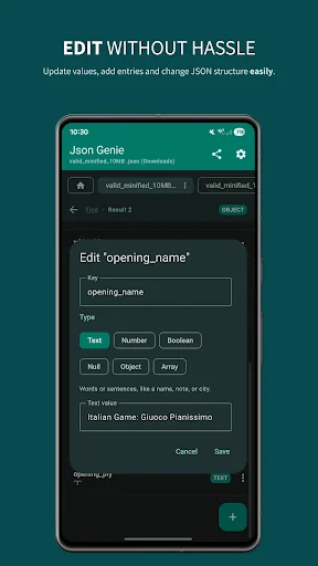 Json Genie: JSON Viewer/Editor screenshot 4