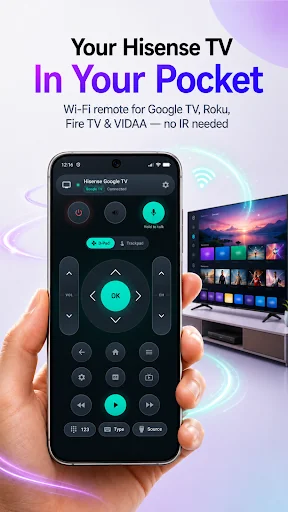 TV Remote for Hisense TV