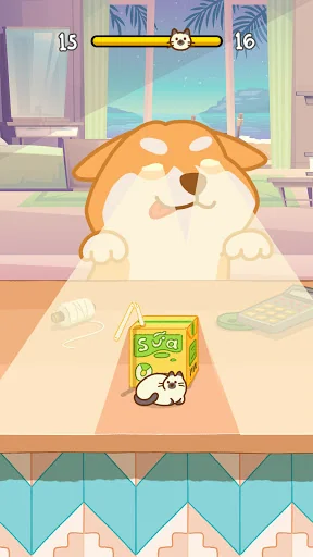 Hide And Seek: Cute Cat Escape screenshot 3