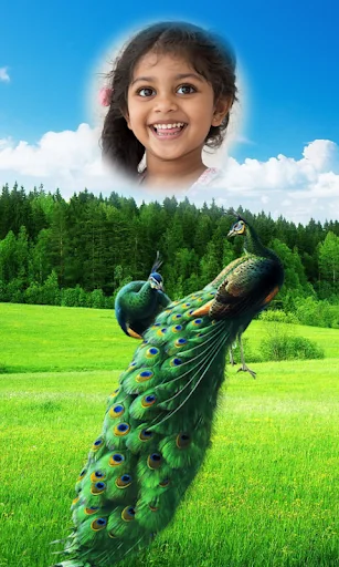 Peacock Photo Frames HD