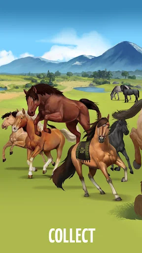 Howrse - Horse Breeding Game screenshot 3