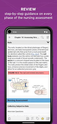 Nurses' Health Assessment