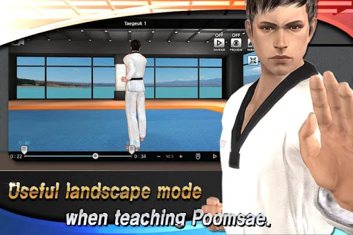 Taekwondo Poomsae Master screenshot 3