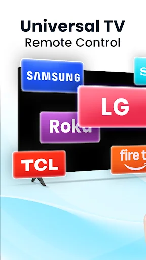 Universal TV Remote Control