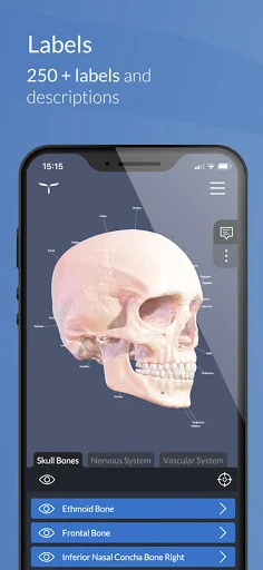 Head Atlas