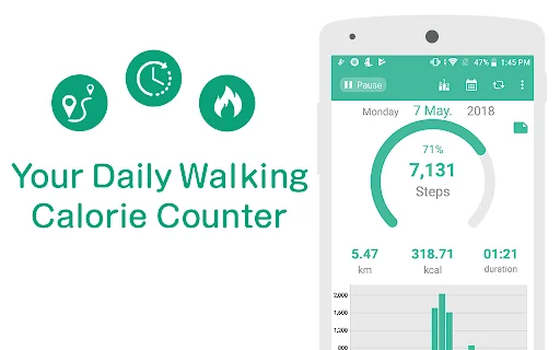 Pedometer - Step Counter Maipo