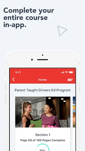 National Driver Training screenshot 2