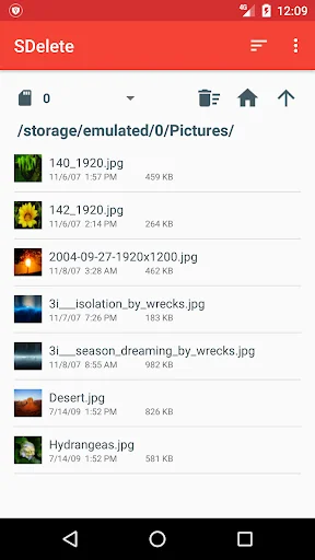 SDelete - File Shredder screenshot 2