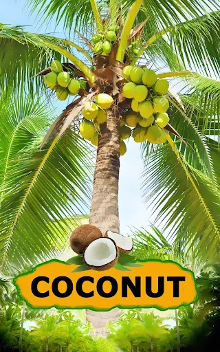 Coconut