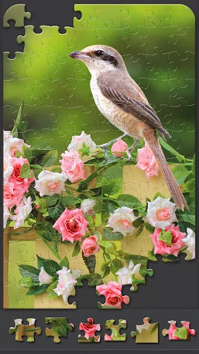 Jigsaw Puzzles for Adults screenshot 3