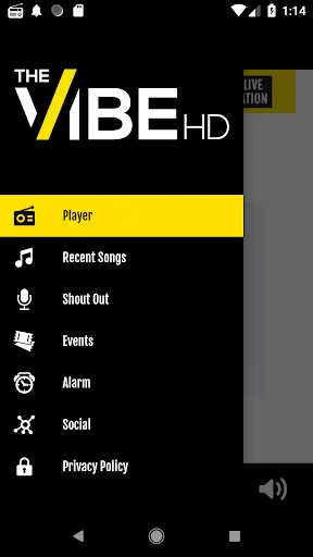 The Vibe HD